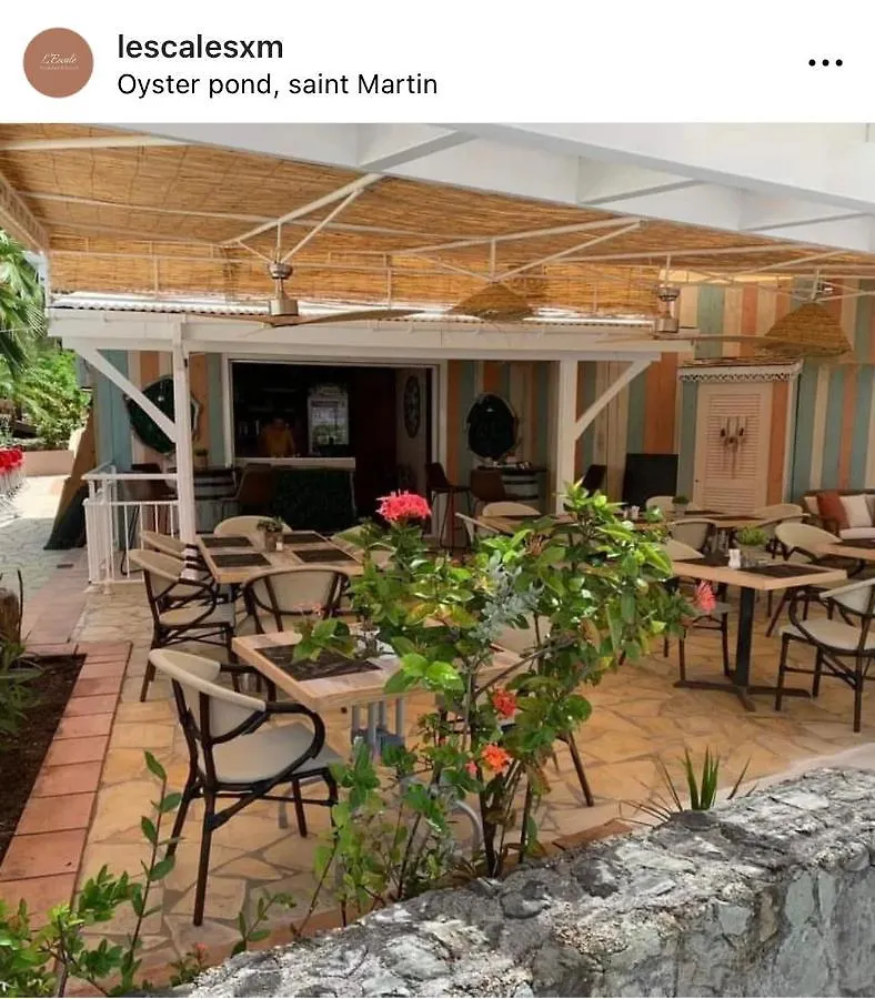 فيلة Perle Des Antilles أويستر بوند